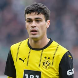 Gio Reyna, Borussia Dortmund, 2024/25