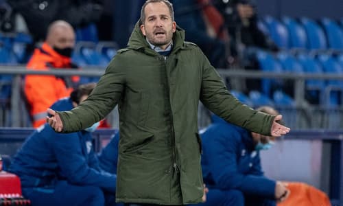 Schalke sack head coach Baum, Stevens steps in