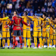 Tigres, LigaMX