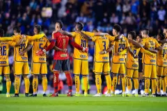 Tigres, LigaMX