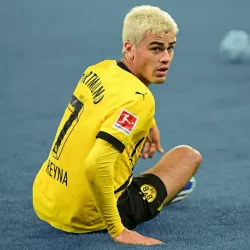 Giovanni Reyna, Dortmund, 2023/24
