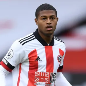 Blades out: Sheffield United was the wrong move for Brewster