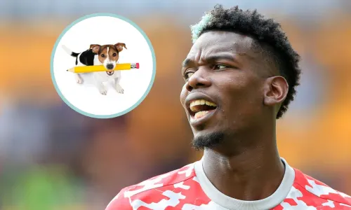 Paul Pogba, dog