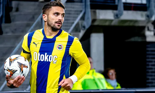 Dusan Tadic, Fenerbahçe