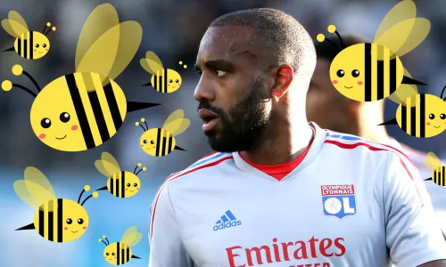 Alexandre Lacazette has been attacked by wasps at Lyon's training camp