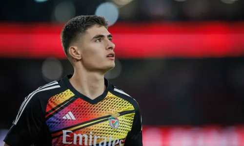 Antonio Silva, Benfica, 2023/24