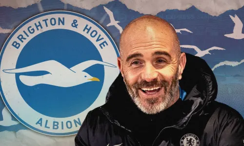 Enzo Maresca, Brighton