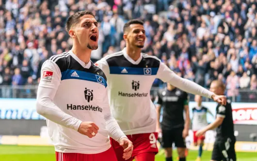 Ludovit Reis, HSV