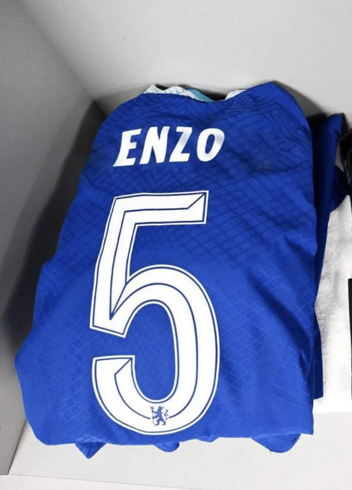 Enzo Fernandez squad number