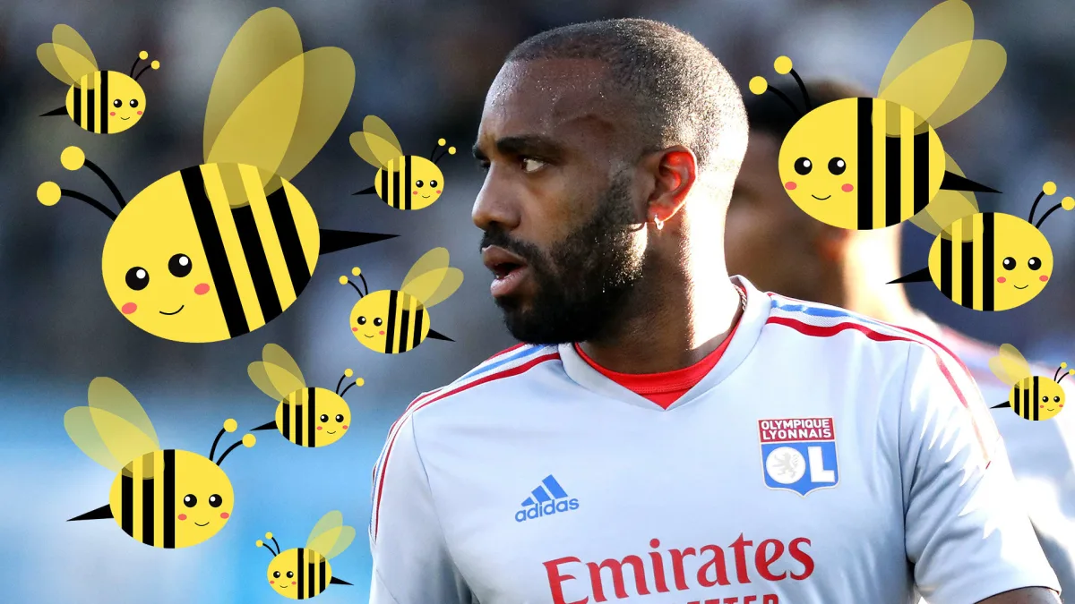 Alexandre Lacazette has been attacked by wasps at Lyon's training camp