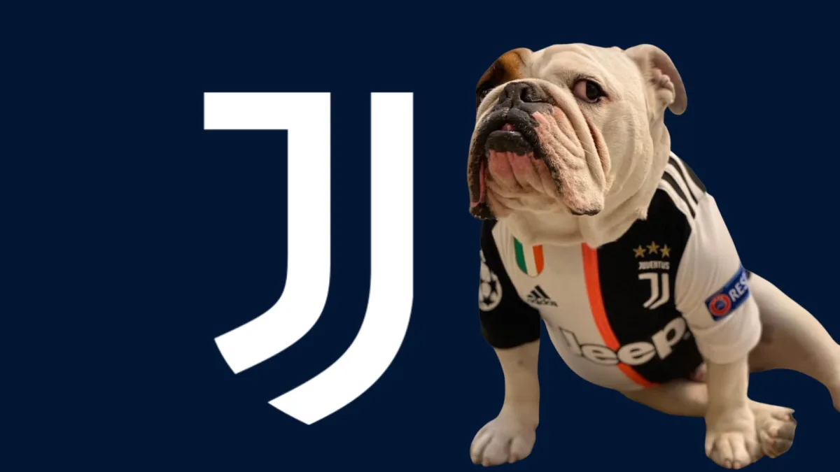 Juventus dog