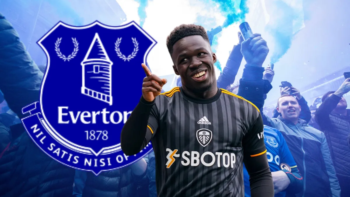 Wilfried Gnonto, Everton