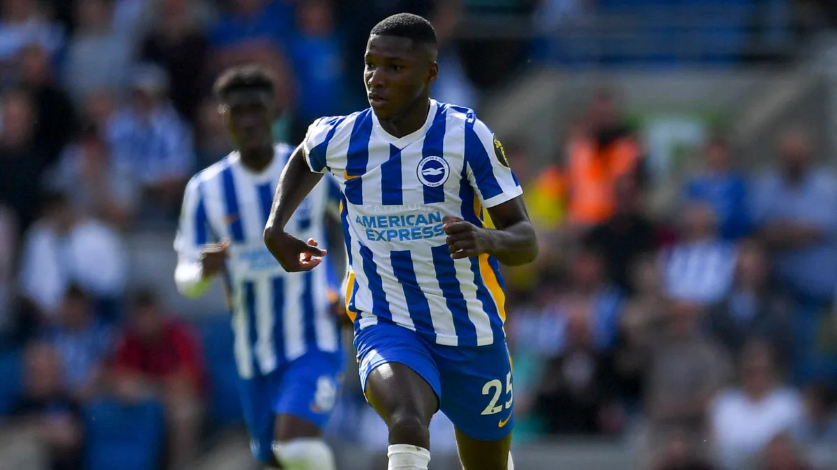 Moises Caicedo plays for Brighton