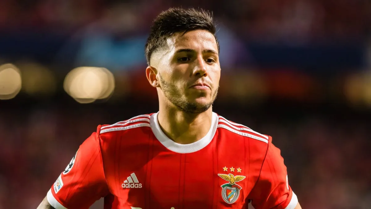 Enzo Fernandez, Benfica, 2022/23