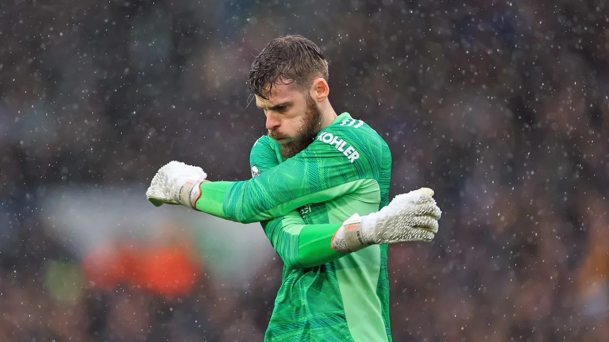 David de Gea in action for Manchester United