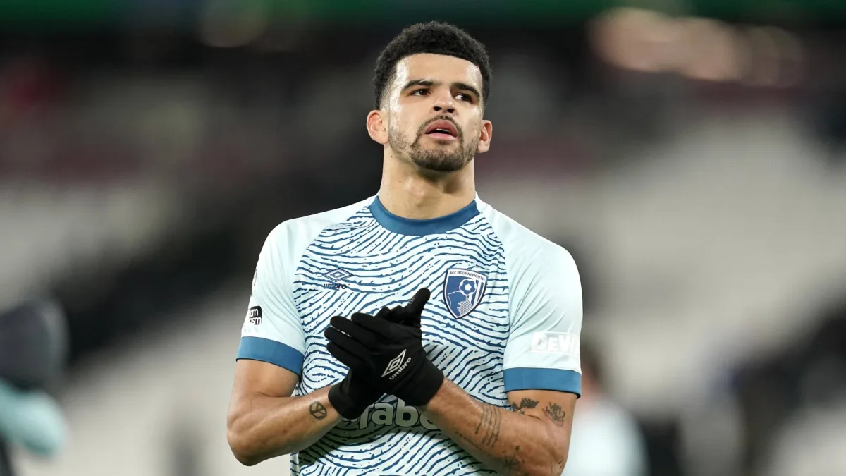 Dominic Solanke, Bournemouth, 2023/24