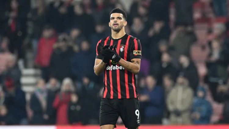Dominic Solanke is finding his feet at Bournemouth