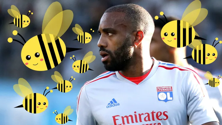 Alexandre Lacazette's return to Lyon was delayed after he was attacked by bees