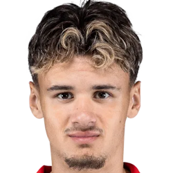 Kerim Alajbegovic